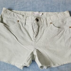 Carve Designs Women's Light Green Jean Shorts